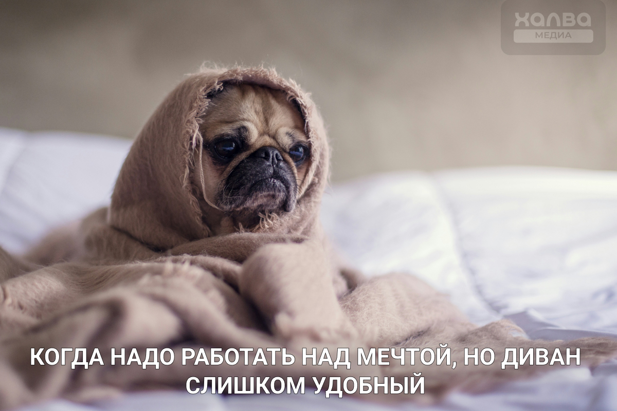 мечта и цель